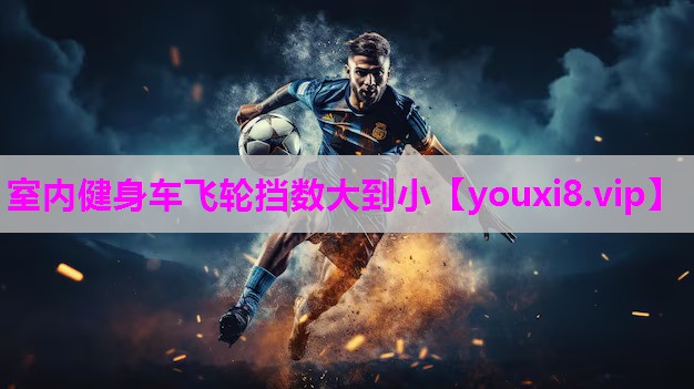 <strong>室内健身车飞轮挡数大到小</strong>